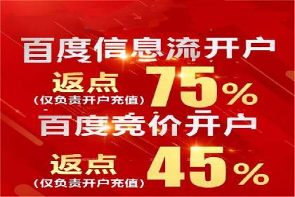 竞价托管服务案例解析